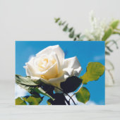 白いバラ祝-'s Life シーズンカード (スタンド正面)