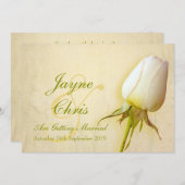 白いバラ結婚の大きな風景への招待 招待状 (正面/裏面)