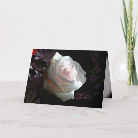 白いバラ –  カード (正面)