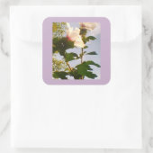 白いバラ スクエアシール (バッグ)