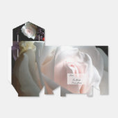 白いバラ –  フェイバーボックス (折り畳みなし)