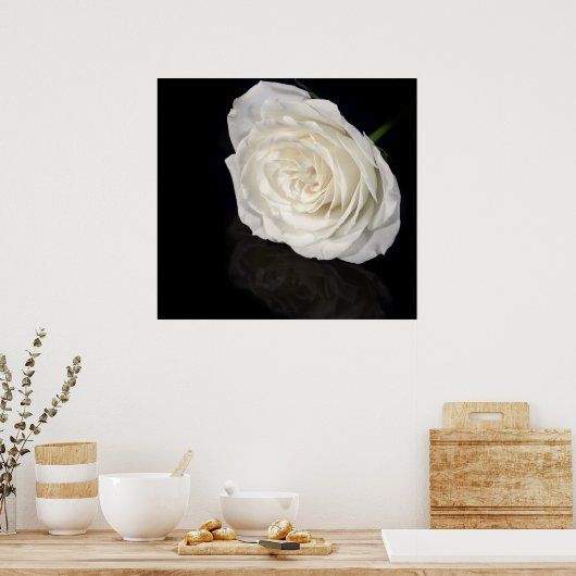 白いバラ ポスター (キッチン)