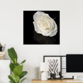 白いバラ ポスター (ホームオフィス)