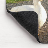 白いバリケンの竜 マウスパッド (コーナー)