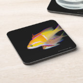 白いバーAnthias コースター (左側)
