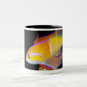 白いバーAnthias ツートーンマグカップ (中央)