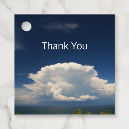 白いパフィー雲 フェイバータグ (正面)