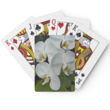 白いパレノプシスランフローラ