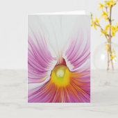 白いパンジーの挨拶状 カード (黄色い花)