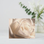 白いパーソナライズされたバラの日付を保存 案内ポストカード (スタンド正面)