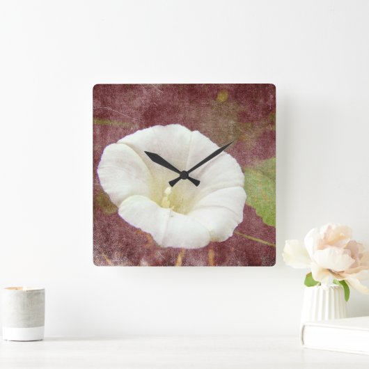 白いヒルガオ-野生の不断の朝顔 スクエア壁時計 (ホーム)