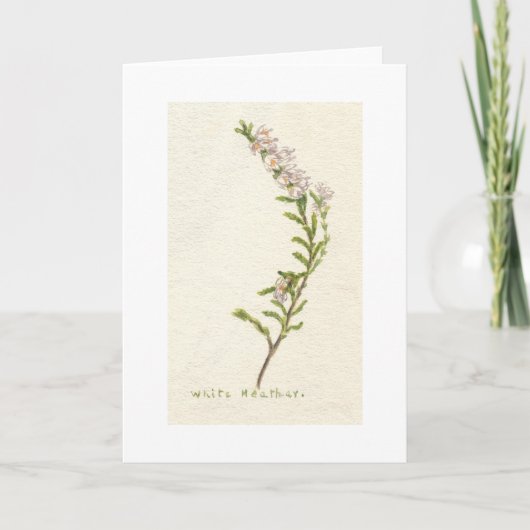 白いヒース カード (正面)