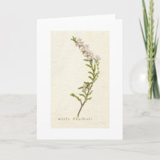 白いヒース カード