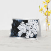 白いビバーナムの花のクローズアップ カード (黄色い花)