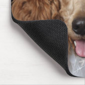 白いピエロの衣装を着たゴールデンプードル犬 マウスパッド (コーナー)