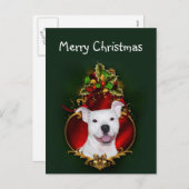 白いピットブルのクリスマス シーズンポストカード (正面/裏面)