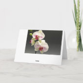白いピンクの蘭 感謝の気持ちを込めて母へ 私の結婚式に サンキューカード (裏面)