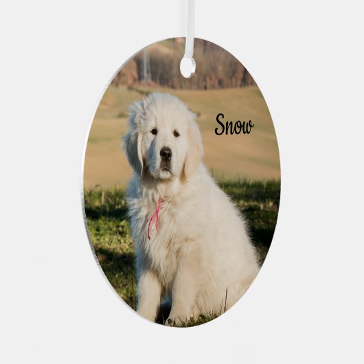 白いピ素晴らしレネー家畜保護犬の子犬 メタルオーナメント (正面右)