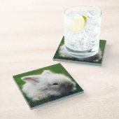 白いファジィベビーバニー ガラスコースター (アングル)