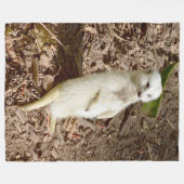 白いファーマーカット、大きなフリースブランケット。 フリースブランケット (正面(横))