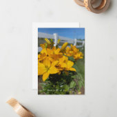 白いフェンス、黄色のユリ ノートカード (正面/裏面インサイチュ)