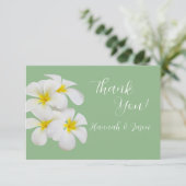白いフランギパニの花はセージの上結婚、 サンキューカード (スタンド正面)