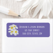 白いフランジパニの花、ニワトリ結婚ビの ラベル (インサイチュ)