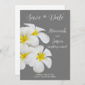 白いフランジパニの花、中救灰色、日付 招待状 (正面/裏面)