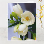 白いフリージアの黄色の色合い カード (黄色い花)