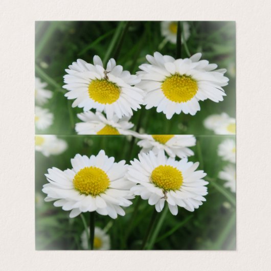 白いフロアーカスタムの水平テント折り曲げ 名刺 (外部フラット)