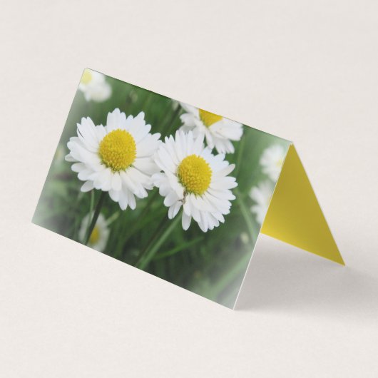 白いフロアーカスタムの水平テント折り曲げ 名刺 (裏面)