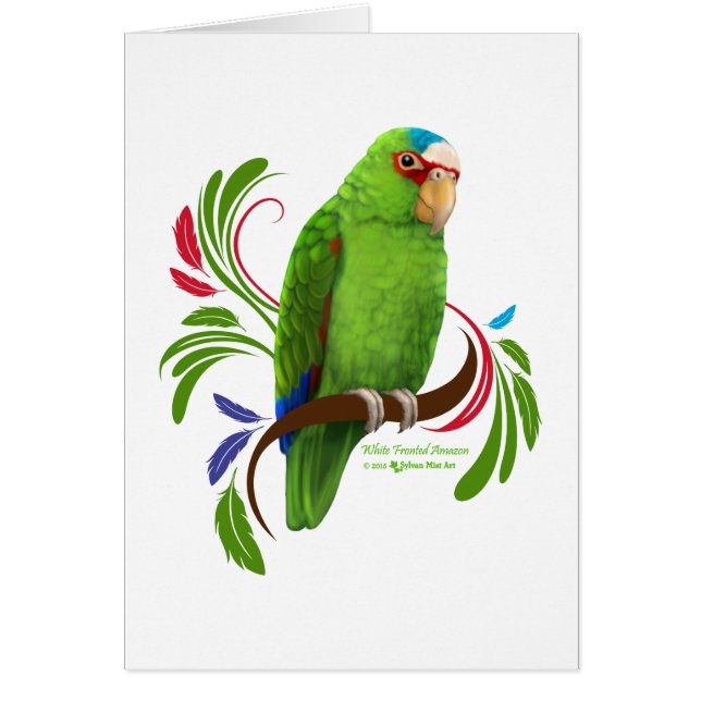 白いフロントのアマゾン (正面)