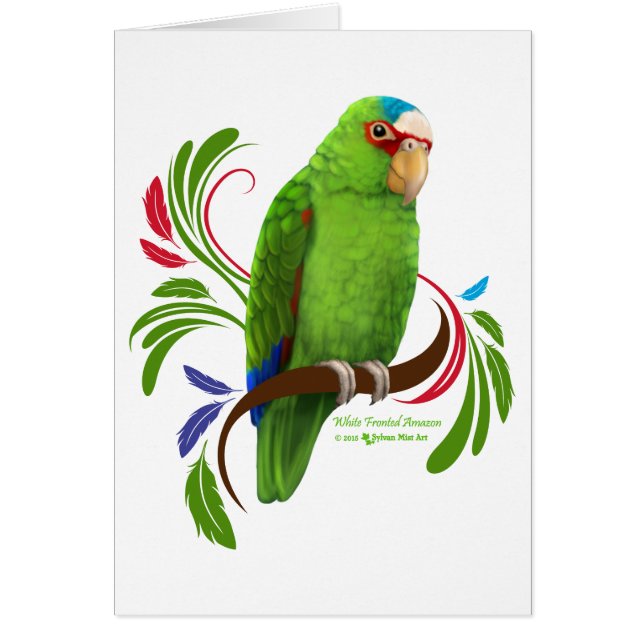 白いフロントのアマゾン (正面)