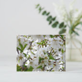 白いフローラ写真の白い流れる木 ポストカード (スタンド正面)