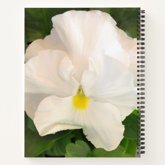 白いフローラ名の黄色のピーク ノートブック (裏面)