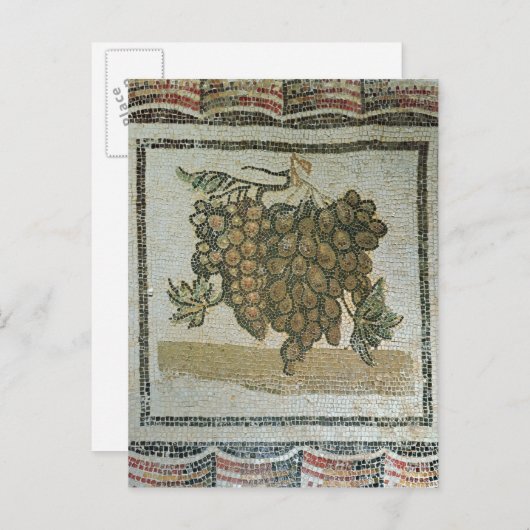 白いブドウの束、ローマンモザイク ポストカード (正面/裏面)
