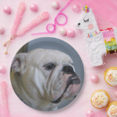 白いブルドッグ ペーパープレート (パーティー)