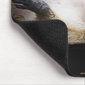 白いブロンドのアライグマ野生動物かわいい動物 マウスパッド (コーナー)