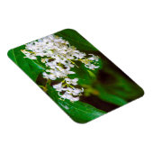 白いプライベートフラワーフレキシブルフォトマグネット マグネット (右側)