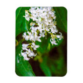 白いプライベートフラワーフレキシブルフォトマグネット マグネット (縦)