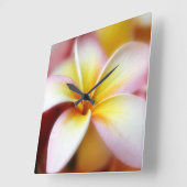 白いプルメリアのFrangipaniのハワイの花のハワイアン スクエア壁時計 (傾斜)