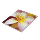 白いプルメリアのFrangipaniのハワイの花のハワイアン タイル (側面)