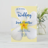 白いプルメリアオン黄色、トロピカル、フローラ 招待状 (スタンド正面)