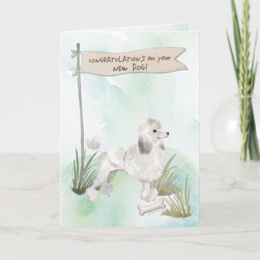 白いプードルが新しい犬を祝う カード (正面)