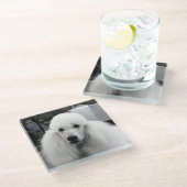 白いプードルガラスのコースター ガラスコースター (アングル)