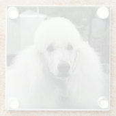 白いプードルガラスのコースター ガラスコースター (裏面)