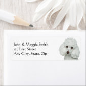 白いプードルドッグペット ラベル (インサイチュ)