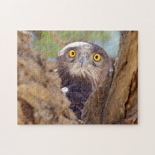 白いヘビのワシ ジグソーパズル (横)