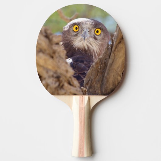 白いヘビのワシ 卓球ラケット (正面)