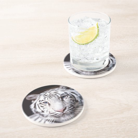 白いベンガルトラの写真撮影 コースター (側面)